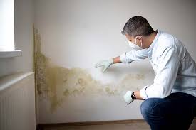 Best Asbestos and Lead Testing During Mold Inspection  in Conneaut, OH